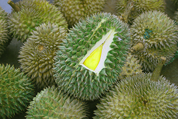 Durian